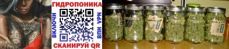 ОМГ ОМГ ONION  Покровск  Бошки марихуана тримм 